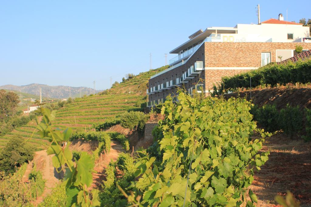 Delfim Douro Hotel Lamego Exterior foto